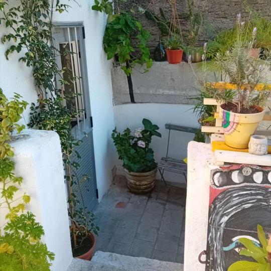 Youki Haus Hostel Montevideo Zewnętrze zdjęcie